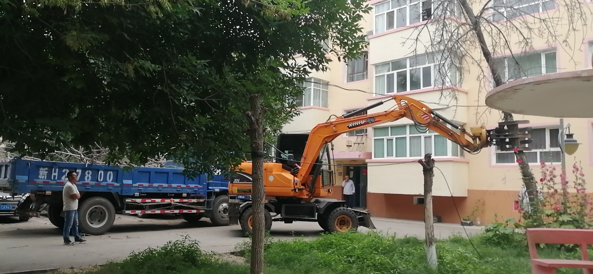 哈巴河公路管理分局清理院内枯树 图：马兰.jpg