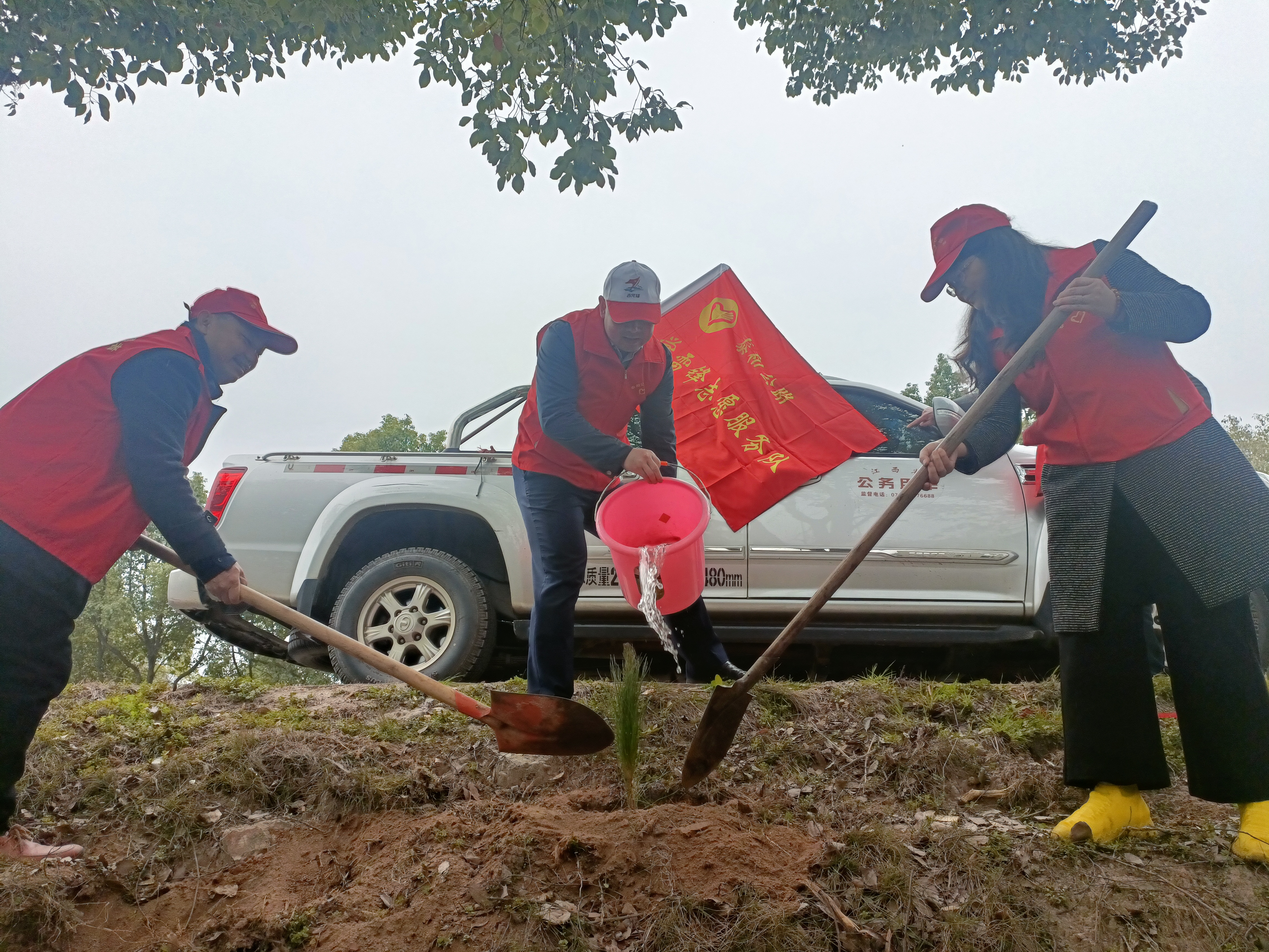 吉安泰和公路分中心+熊清梅+路树种植.jpg