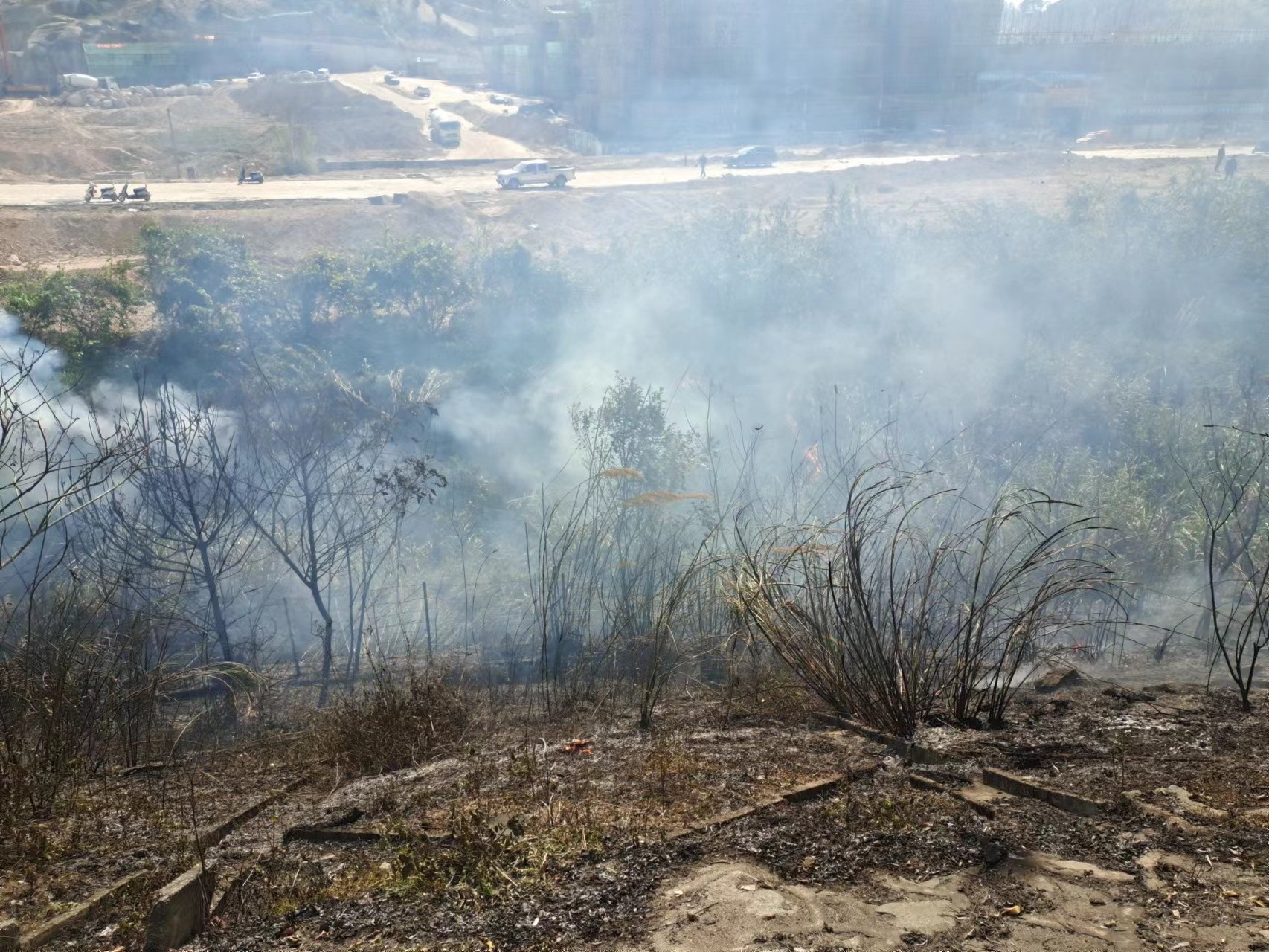 0305_1.jpg 0305_1.jpg