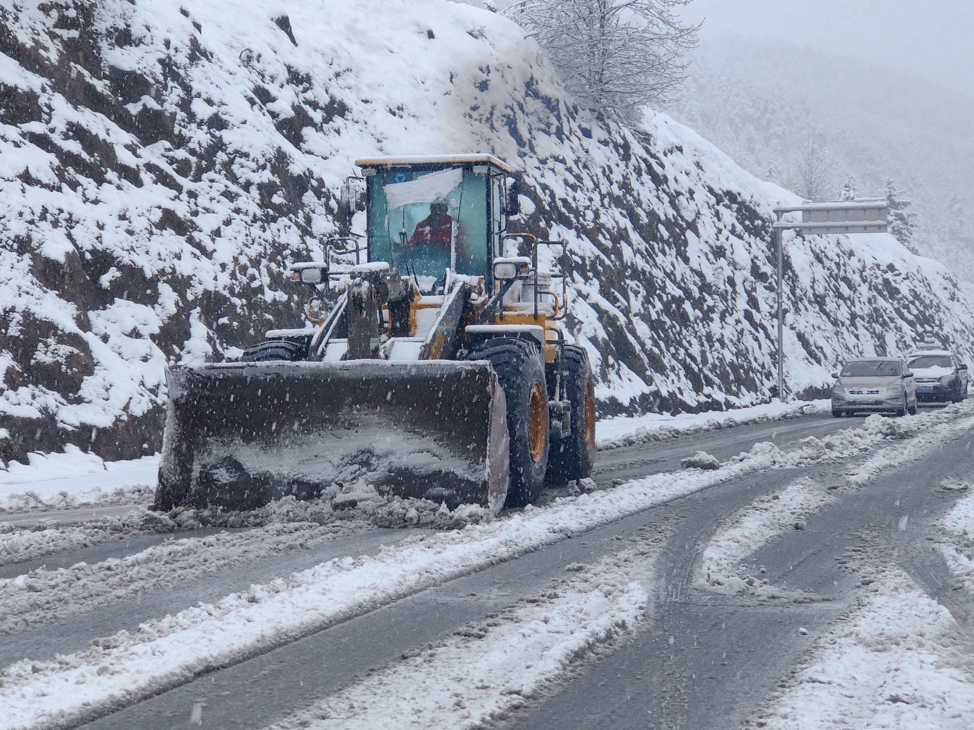 微信图片_20230515101855.jpg 微信图片_20230515101855.jpg