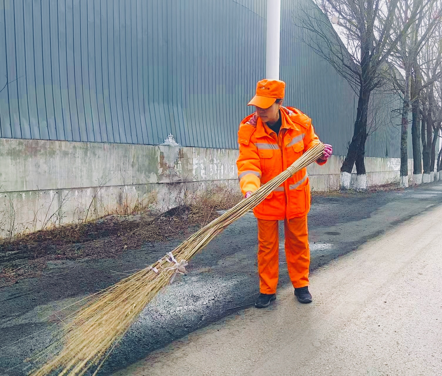 配图2.jpg 配图2.jpg