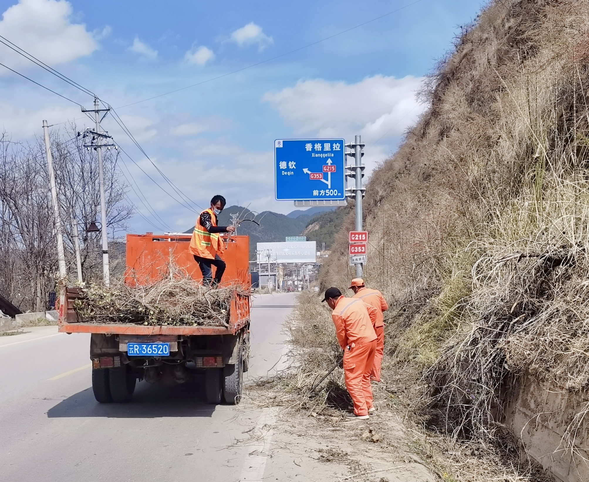 施明志 摄.jpg 施明志 摄.jpg