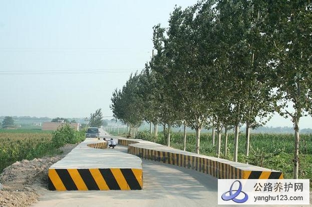 S弯治超路面27.jpg