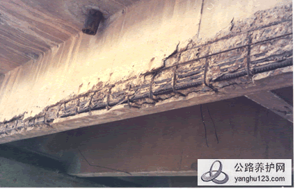 桥梁裂缝露筋.gif