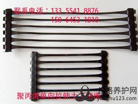 聚丙烯单向拉伸土木格栅 .jpg