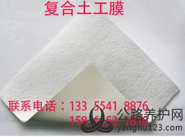 复合土工膜.jpg
