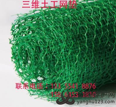 三维土工网垫.jpg