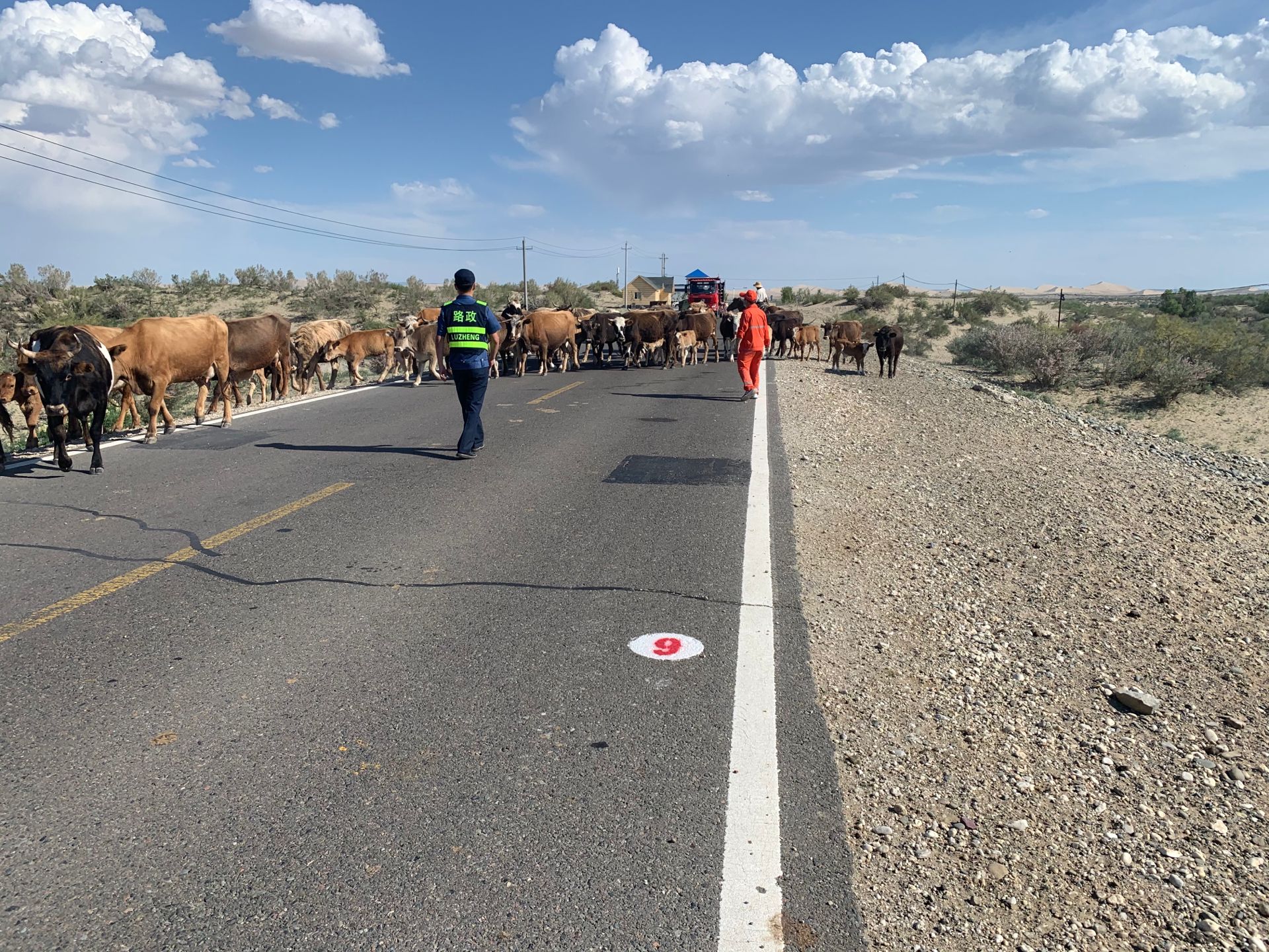 哈巴河公路管理分局与阿勒泰执法支队哈巴河大队联合对转场路段巡查 图：孙先超.jpg