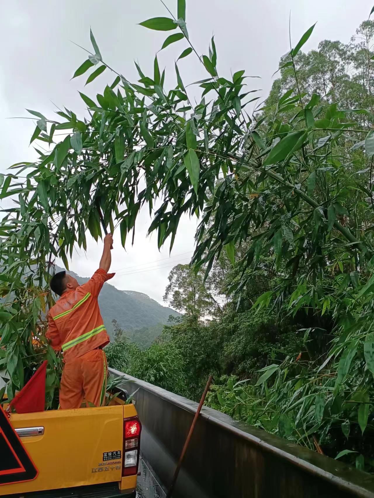 bd49190a32e2b55dfe180fd5db92a9b.jpg bd49190a32e2b55dfe180fd5db92a9b.jpg