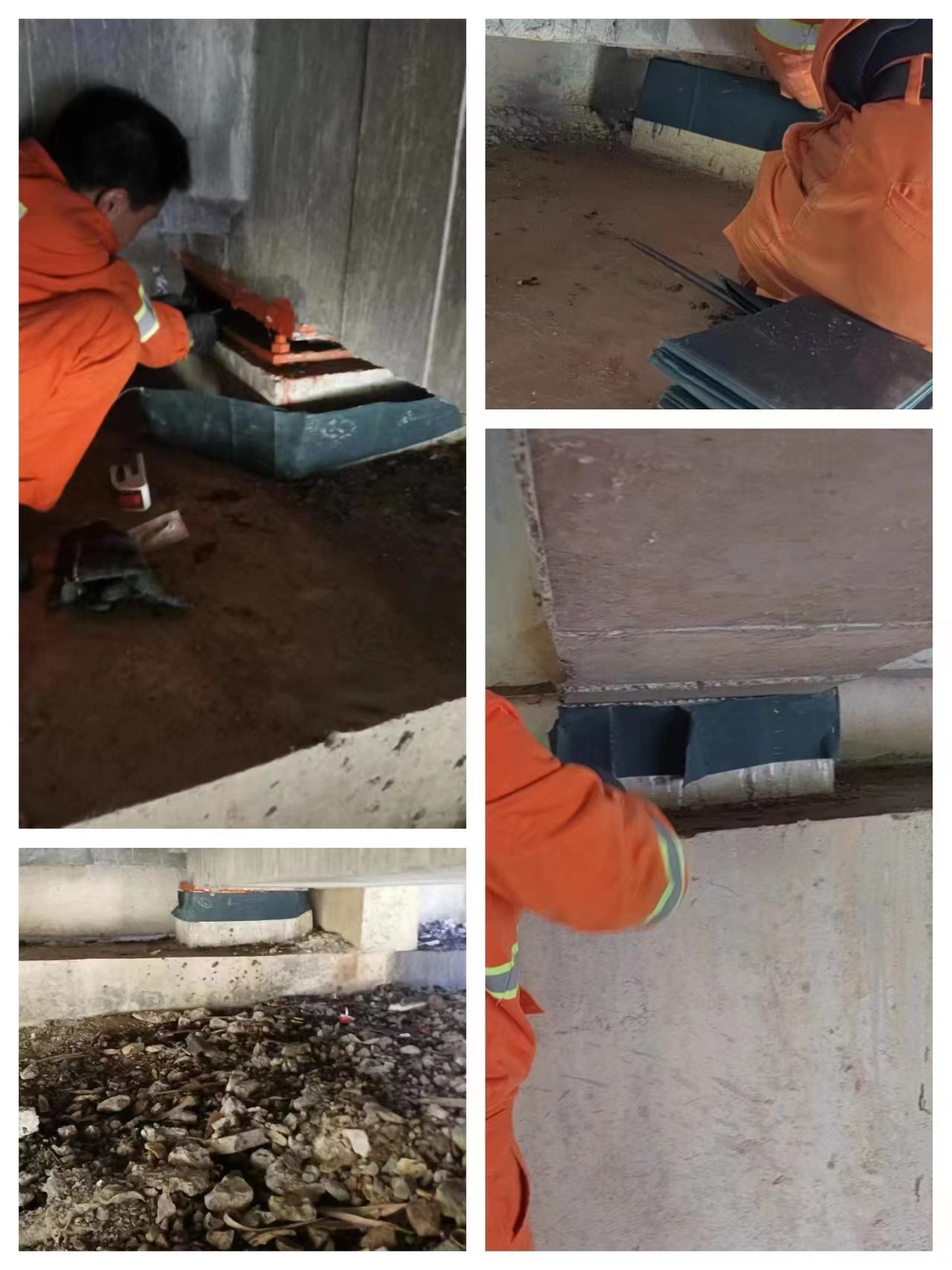 0221_2.jpg 0221_2.jpg