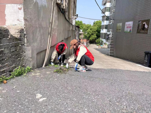 图片1_副本.png 图片1_副本.png