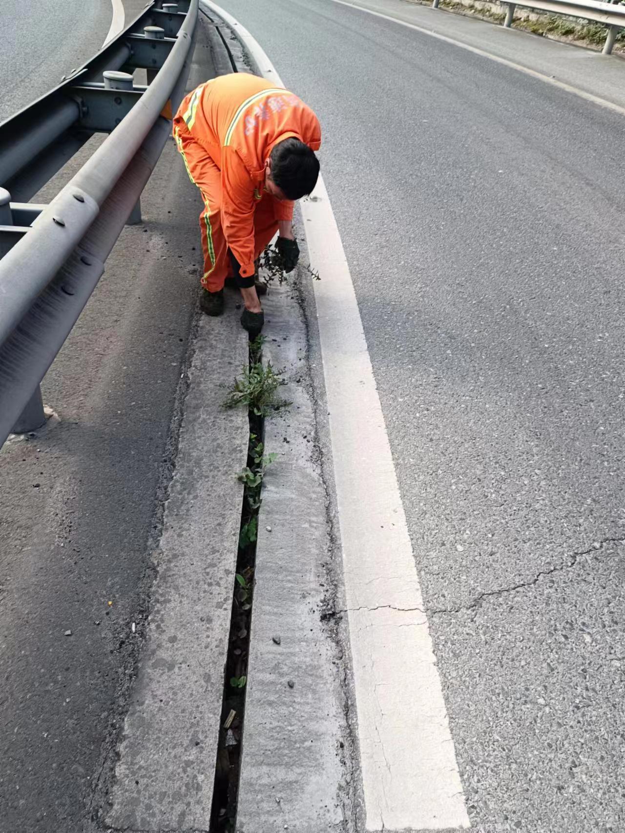 mmexport1678021832040.jpg mmexport1678021832040.jpg