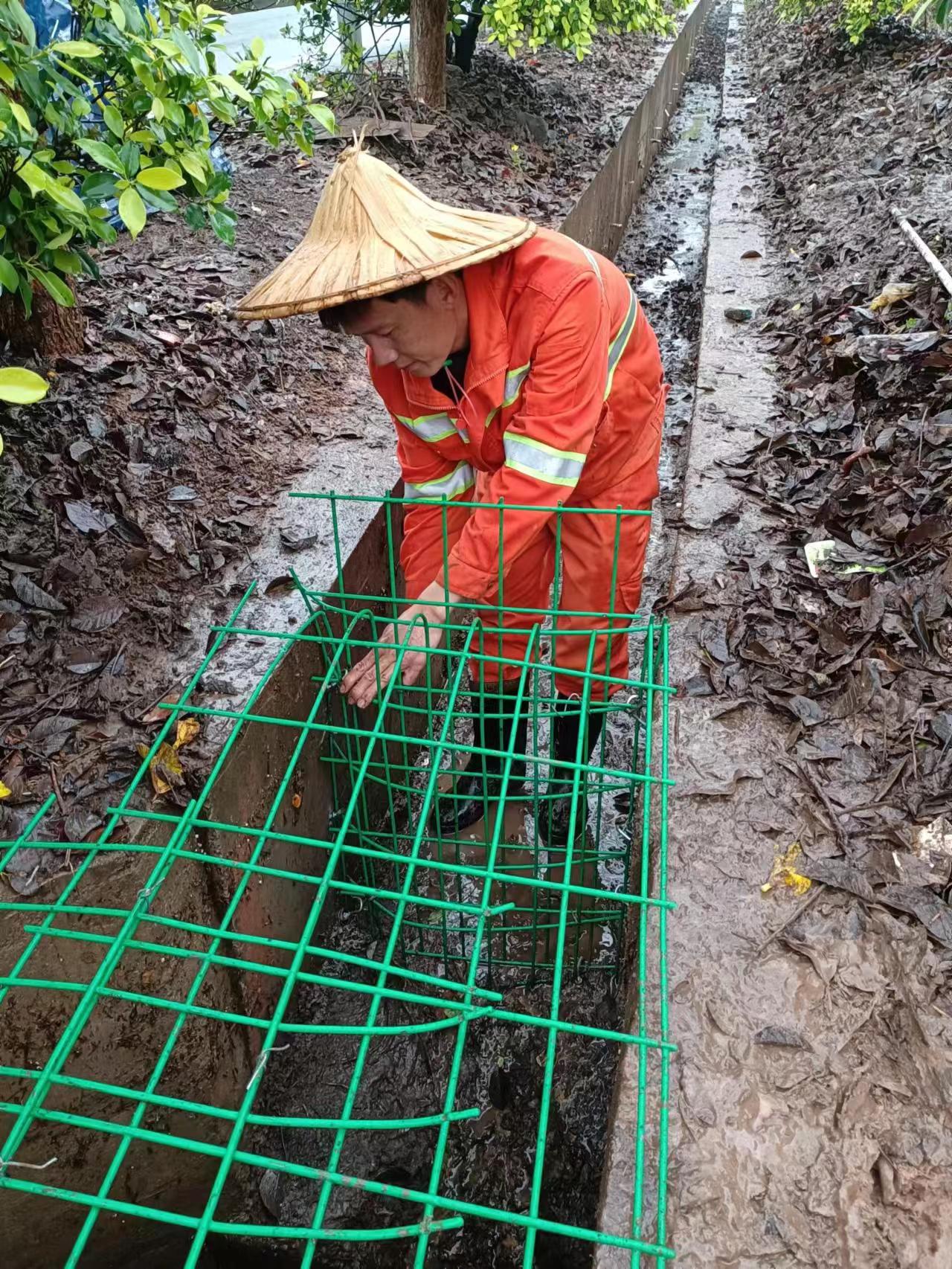 mmexport1679906937180.jpg mmexport1679906937180.jpg