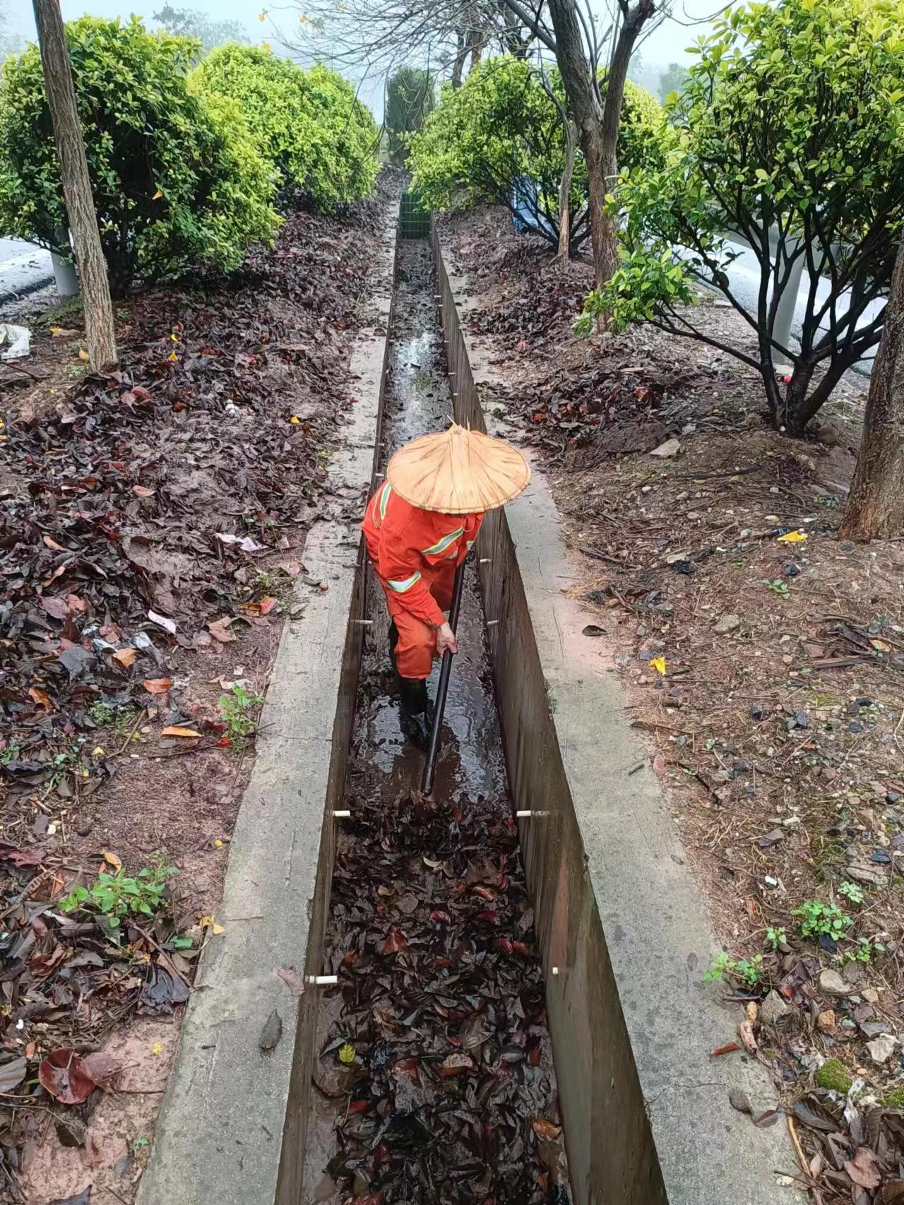 mmexport1679906941870.jpg mmexport1679906941870.jpg