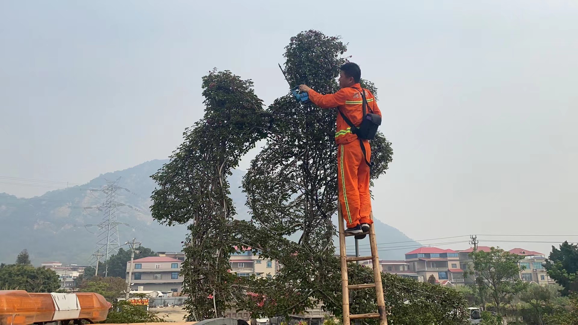 0327_3.jpg 0327_3.jpg