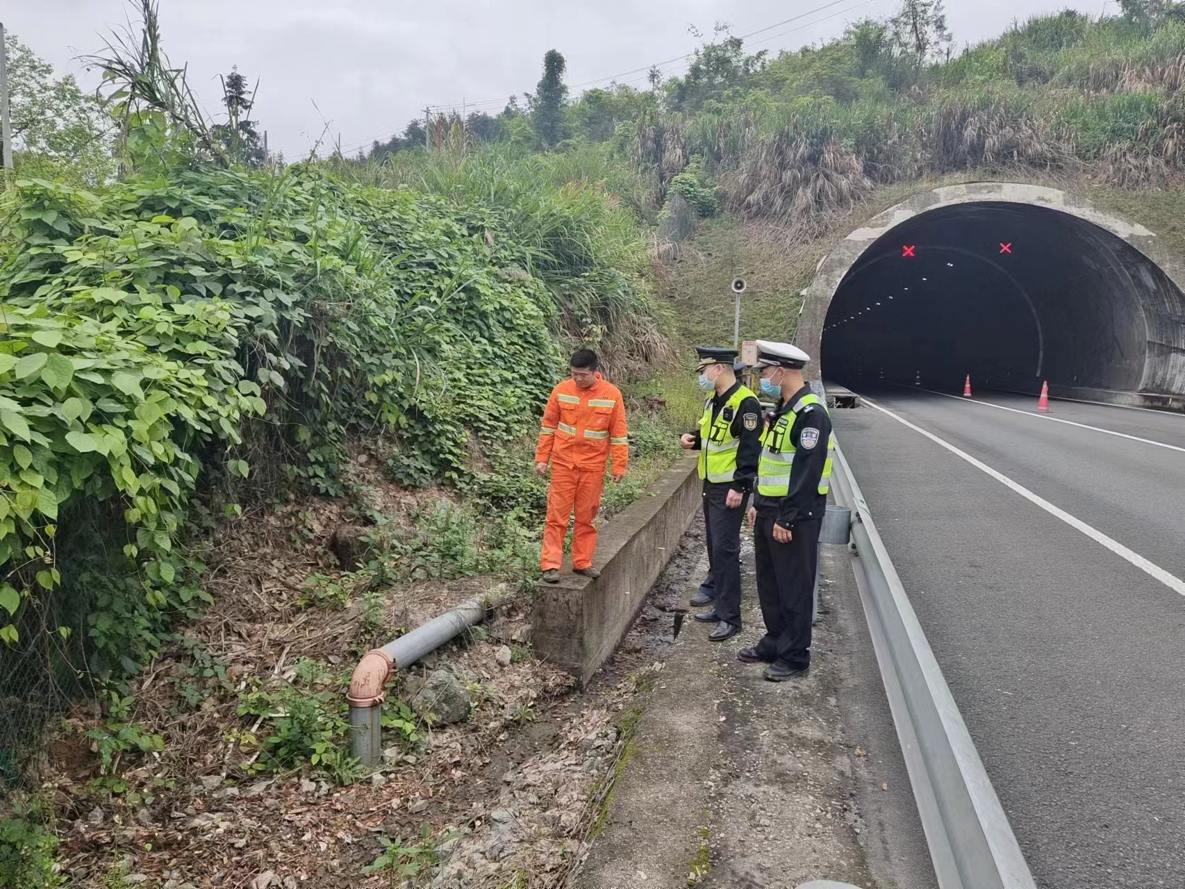 mmexport1680242164711.jpg mmexport1680242164711.jpg