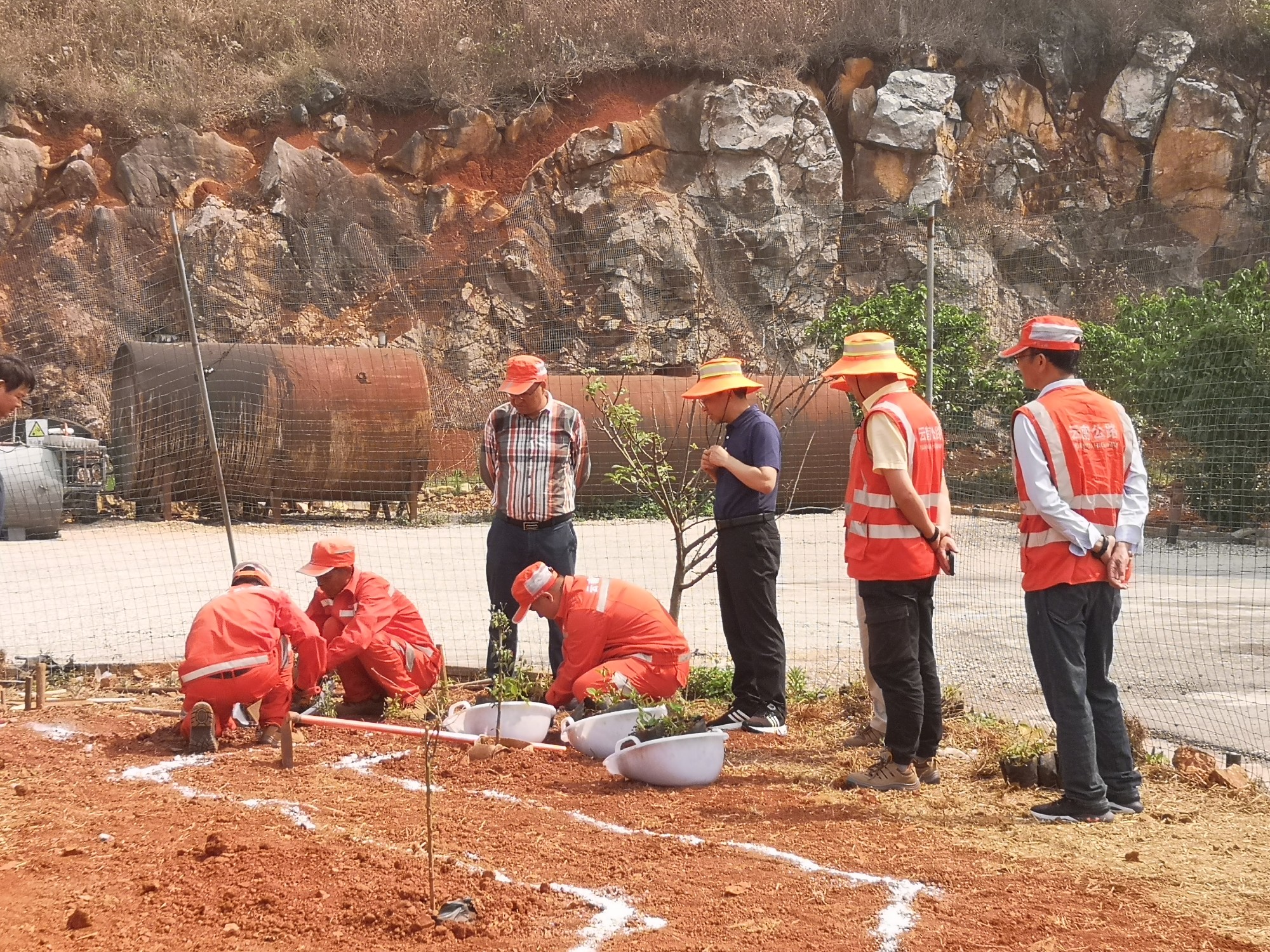 IMG_20230417_152701.jpg IMG_20230417_152701.jpg