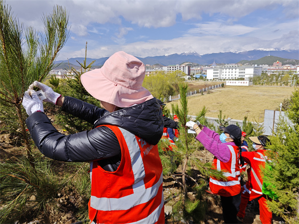 微信图片_20230419165938.jpg 微信图片_20230419165938.jpg