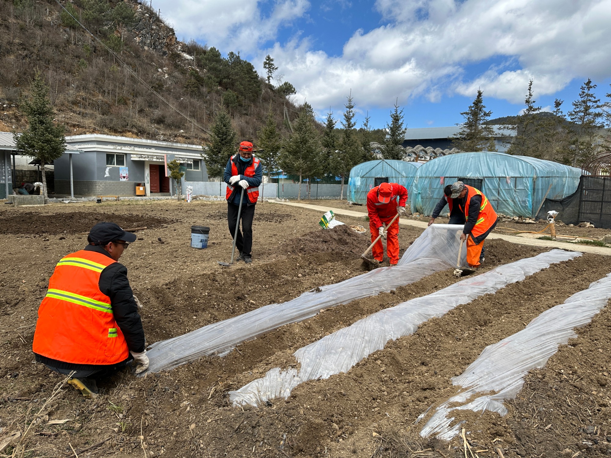 小菜园春耕1.jpg 小菜园春耕1.jpg