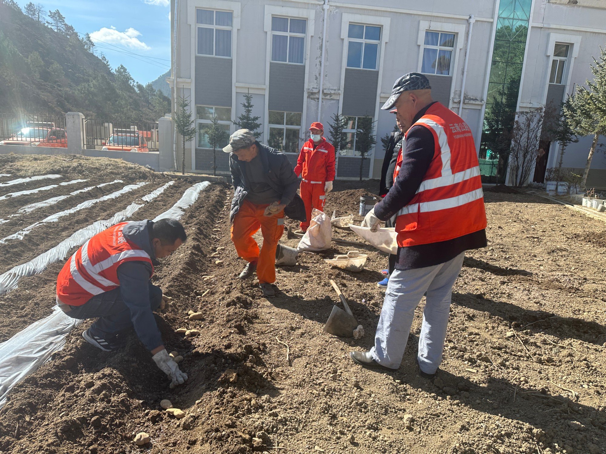 小菜园春耕2.jpg 小菜园春耕2.jpg