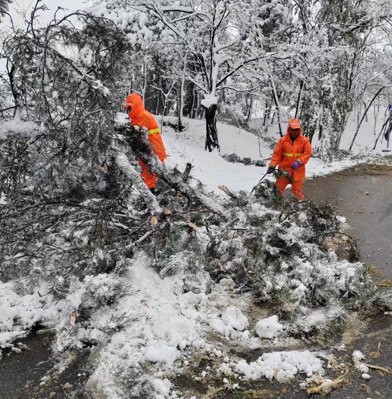 111122222.jpg 111122222.jpg