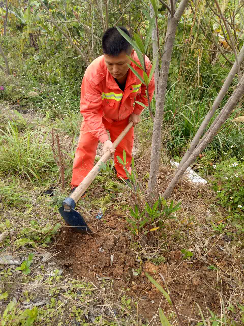 洪志清.jpg 洪志清.jpg
