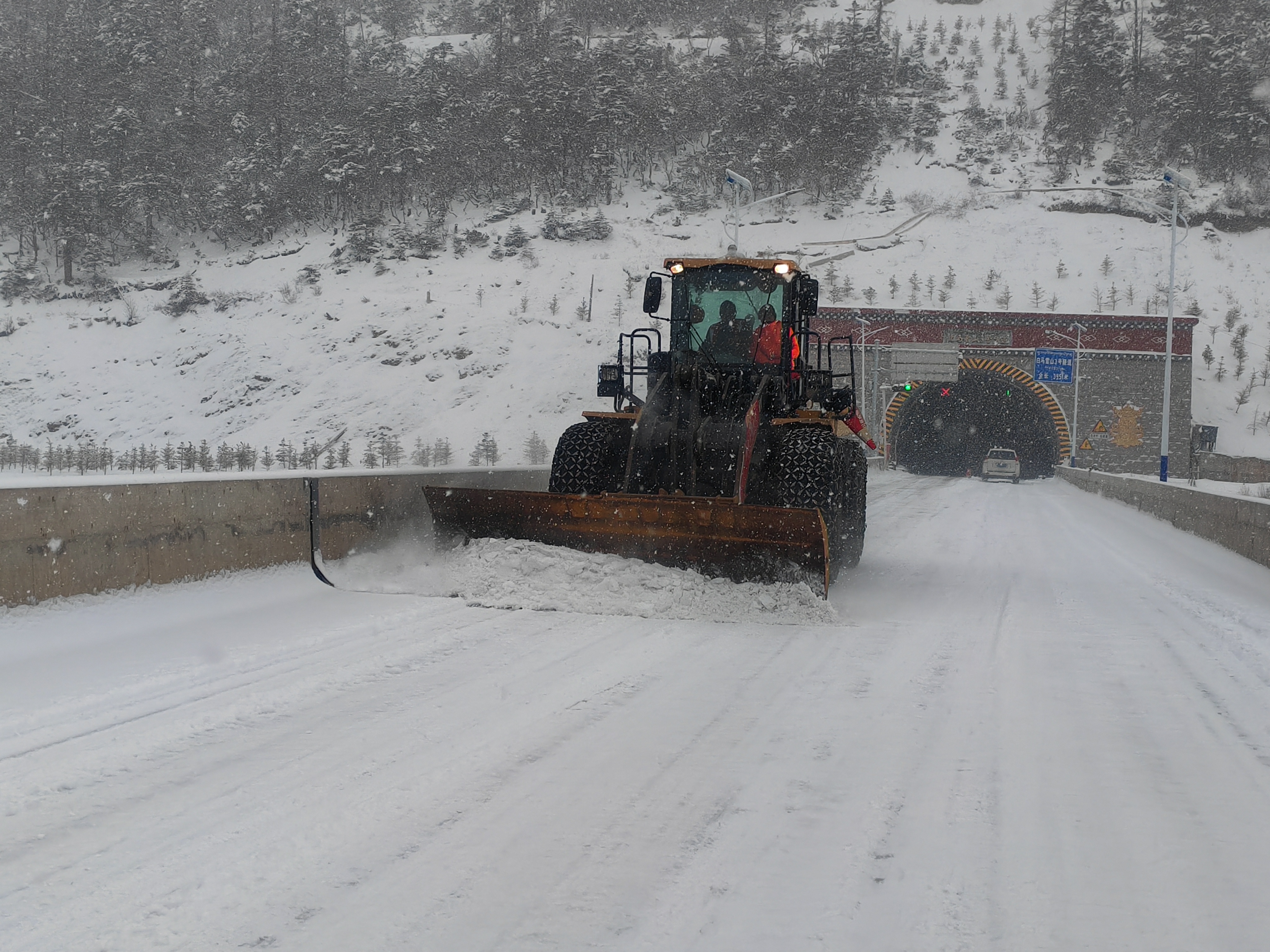 8586dff479e7c73c9d84194ba03deaa.jpg 8586dff479e7c73c9d84194ba03deaa.jpg