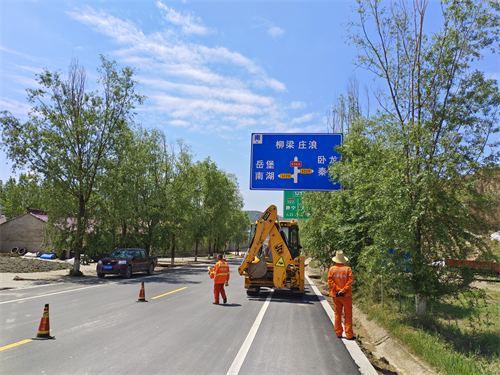 修剪中1.jpg 修剪中1.jpg