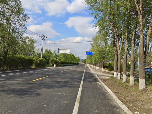 修剪后2.jpg 修剪后2.jpg