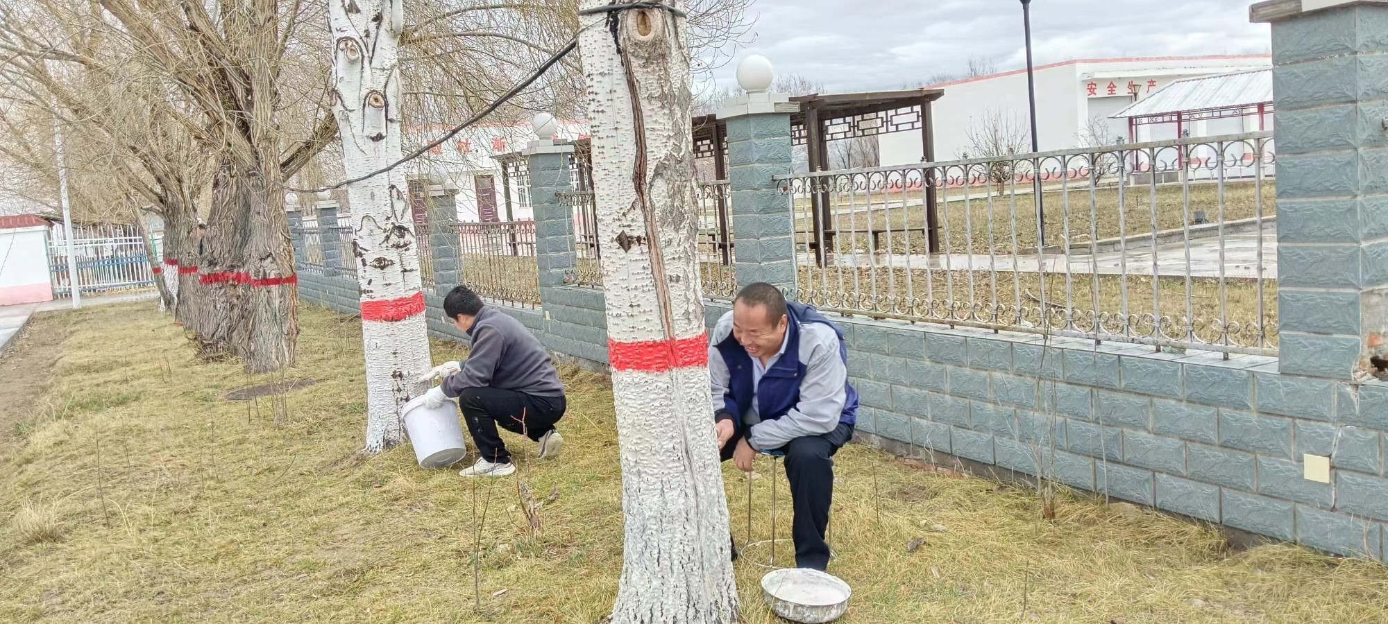 稿件用图2.jpg