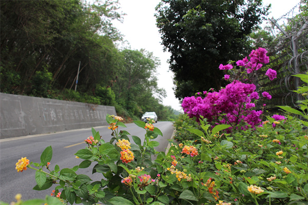 I:\美图批处理照片\图片 (1).jpg