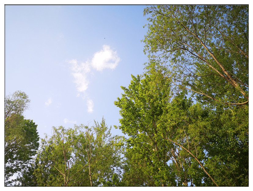 生命的能量 (3).jpg