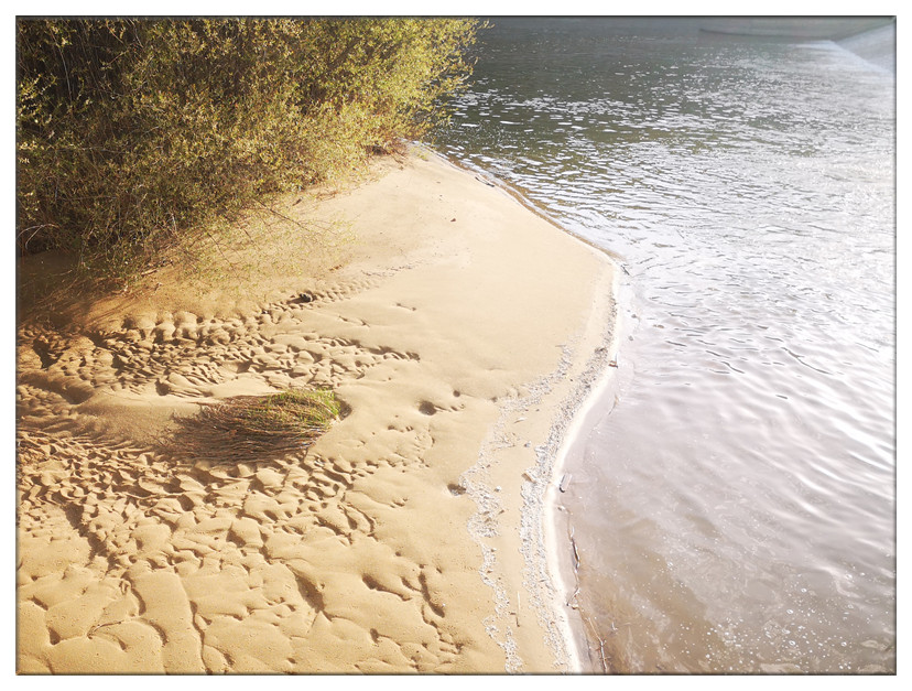 生命的能量 (1).jpg