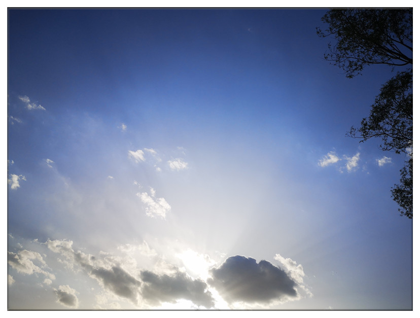 生命的能量 (2).jpg