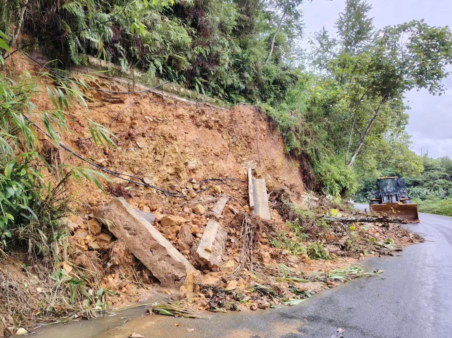 清理坍方 (2).jpg