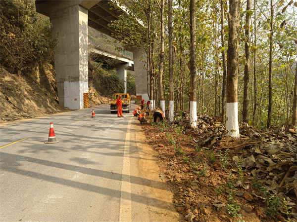I:\美图批处理照片\秀河线绿美公路绿植补种.jpg