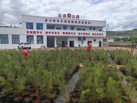 image_1750229950455 (复制).jpg