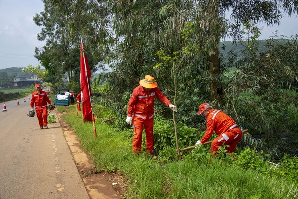 DSC_0018 (复制).jpg