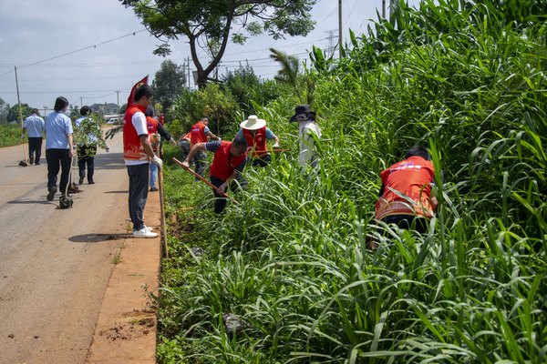 DSC_0071 (复制).jpg