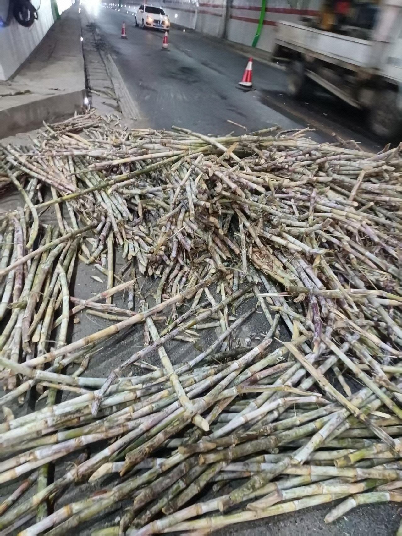 1月24日,金平公路分局高效处置金竹林隧道甘蔗掉落突发事件(1).jpg 1月24日,金平公路分局高效处置金竹林隧道甘蔗掉落突发事件(1).jpg