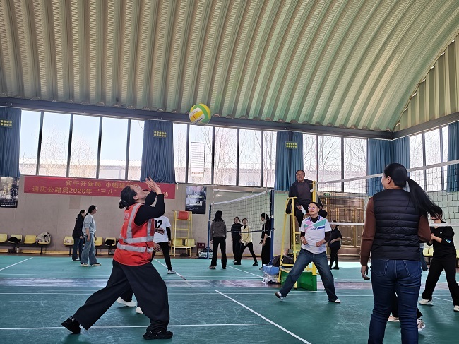 气排球比赛.jpg