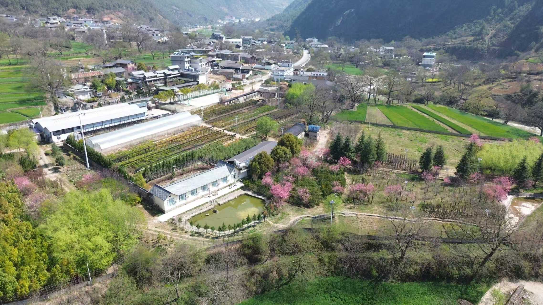 图 塔城苗圃基地全景.jpg 图 塔城苗圃基地全景.jpg