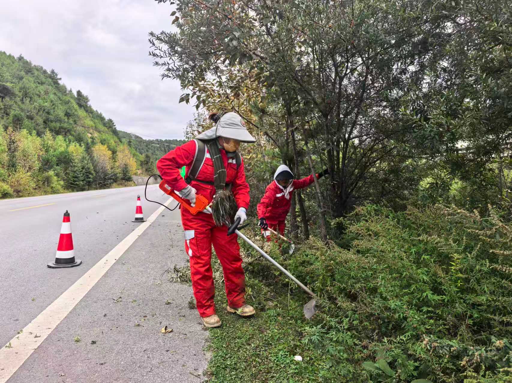 清理路肩杂草.jpg 清理路肩杂草.jpg